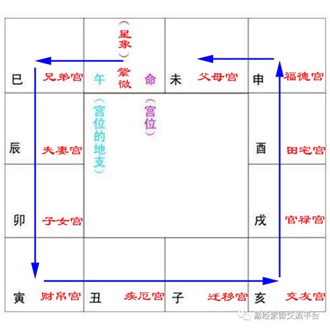 紫微斗數十二宮|紫微斗數中的十二宮（六親宮和非六親宮）經典珍藏版。